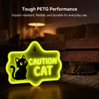 3D Printer Filament SUNLU PETG Glow In The Dark Containing Luminous Powder 1.75mm 1Kg