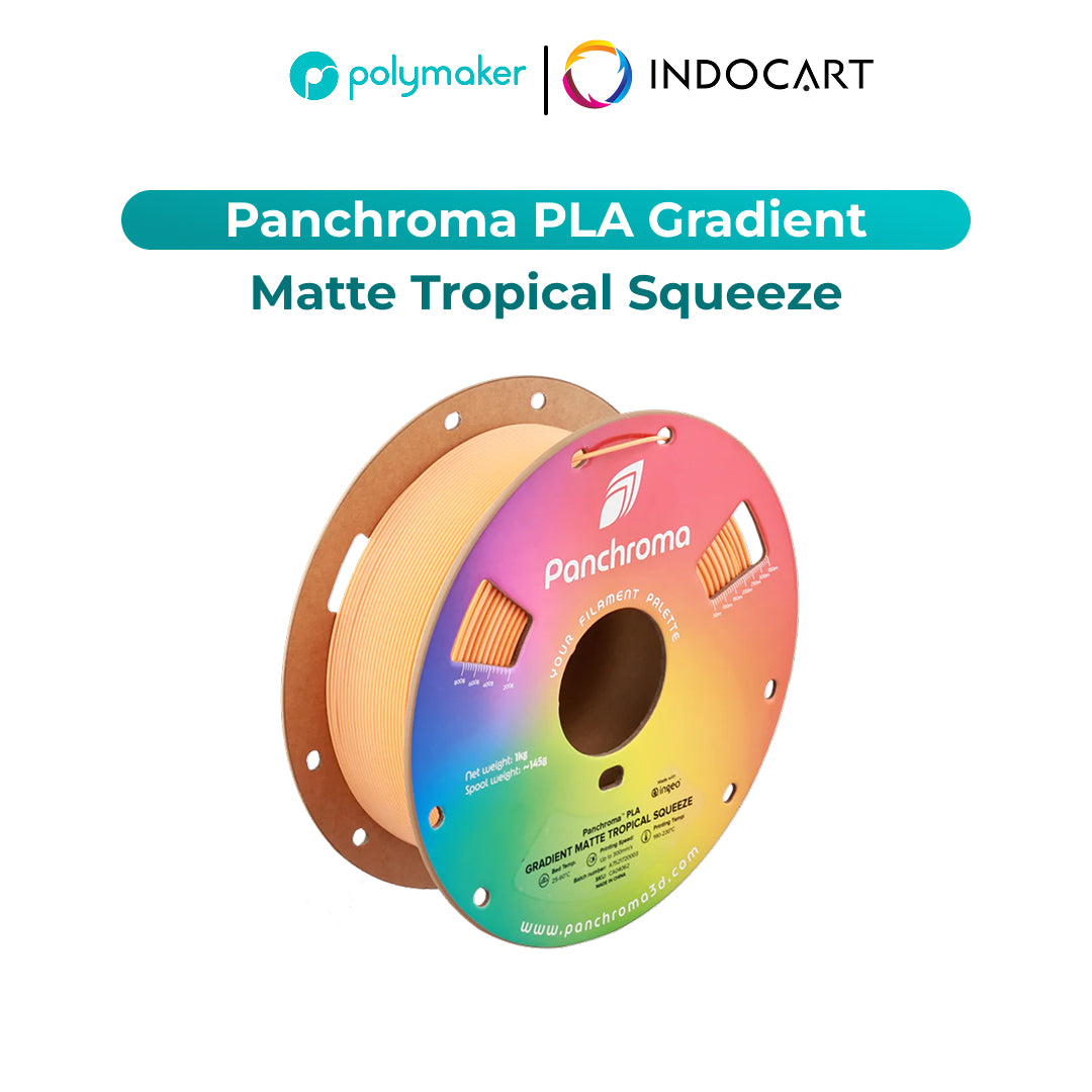 3D Printer Filament PolyMaker Panchroma/PolyTerra Gradient PLA Matte 1.75mm 1Kg